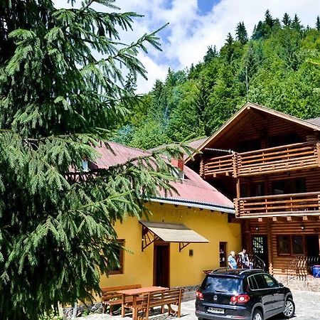 Cabana Bradul Rodna Esterno foto
